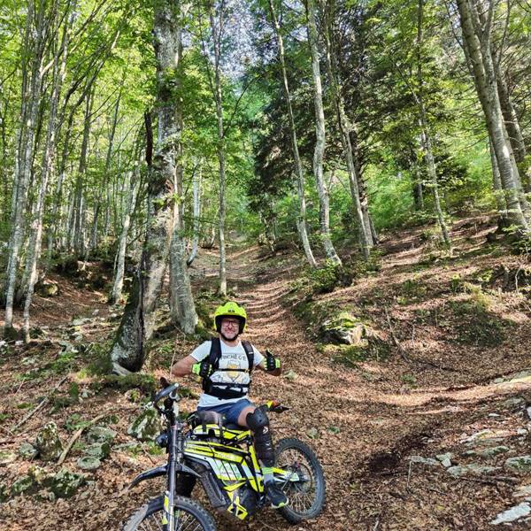 into the forest